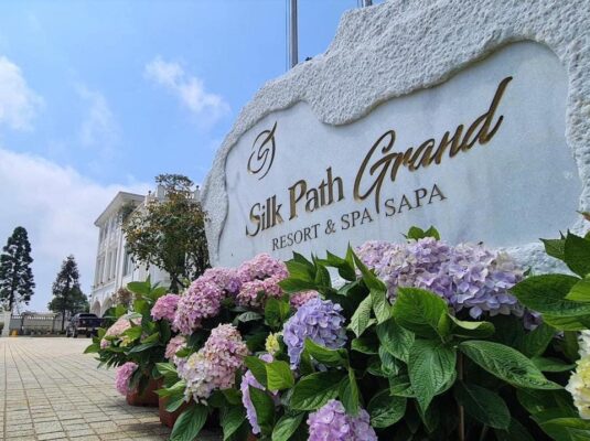 Hoa Cẩm Tú Cầu và hoa Hồng Cổ Sapa là các loại đặc trưng