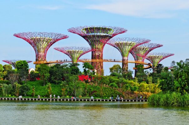 Vườn thực vật Garden by the Bay
